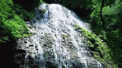 智能高性能数字化